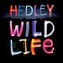 Il testo della Beautiful girl Hedley