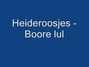 Lyrics of Boore lul Heideroosjes