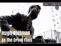 Il testo della As the crow flies Hugh Coltman