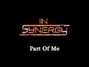 Il testo della Part of me In Synergy