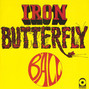 Il testo della Soul experience Iron Butterfly