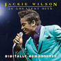 Il testo della A woman, a lover, a friend Jackie Wilson