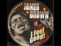 Il testo della I got you James Brown
