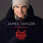 Il testo della In the bleak midwinter James Taylor