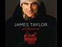 Il testo della Winter wonderland James Taylor