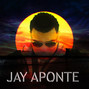 Il testo della Bajo el sol Jay Aponte