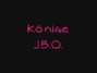 Il testo della Könige Jbo