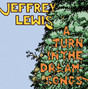 Il testo della Try it again Jeffrey Lewis