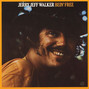 Il testo della More often than not Jerry Jeff Walker