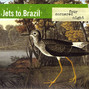 Lyrics of Little light Jets To Brazil