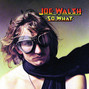 Il testo della Help me thru the night Joe Walsh