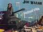 Il testo della Life of illusion Joe Walsh