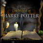 Paroles de Harry's wondrous world John Williams