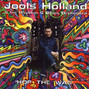 Il testo della I'm in the mood for love Jools Holland
