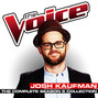 Il testo della Stay with me Josh Kaufman