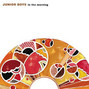 Il testo della In the morning Junior Boys