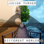 Lyrics of Different worlds Junior Turner