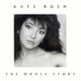 Il testo della Hounds of love Kate Bush