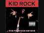 Lyrics of Desperate - rado Kid Rock