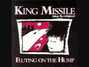 Il testo della Mr johnson King Missile
