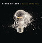 Il testo della On call Kings Of Leon