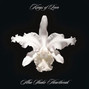 Il testo della Pistol of fire Kings Of Leon