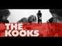Il testo della In my opinion Kooks