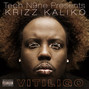 Il testo della Beautiful you are Krizz Kaliko