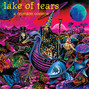 Il testo della A crimson cosmos Lake Of Tears