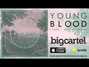 Il testo della Young blood (take me higher) Lancaster
