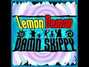 Il testo della Dead sea monkeys Lemon Demon