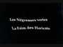 Il testo della La faim des haricots Les Negresses Vertes