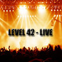 Il testo della A physical presence Level 42