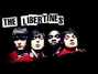 Il testo della Skag & bone man Libertines