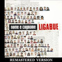 Lyrics of Il giorno dei giorni Ligabue