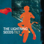 Il testo della I wish i was in love Lightning Seeds