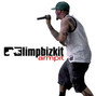Il testo della Armpit Limp Bizkit