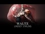 Il testo della Waltz Lindsey Stirling