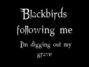 Lyrics of Blackbirds Linkin Park