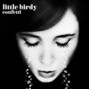 Il testo della Brother Little Birdy