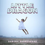Il testo della Pink cloud Little Dragon