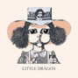 Il testo della Test Little Dragon