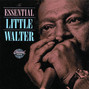 Il testo della Tell me mama Little Walter