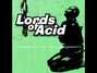 Il testo della Undress and possess Lords Of Acid