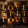 Il testo della Half a life Love Spit Love