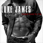 Il testo della Make love to me Luke James