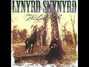 Il testo della Can't take that away Lynyrd Skynyrd