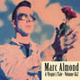 Lyrics of The plague Marc Almond