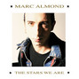 Lyrics of Your kisses burn Marc Almond