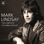 Il testo della Something big Mark Lindsay